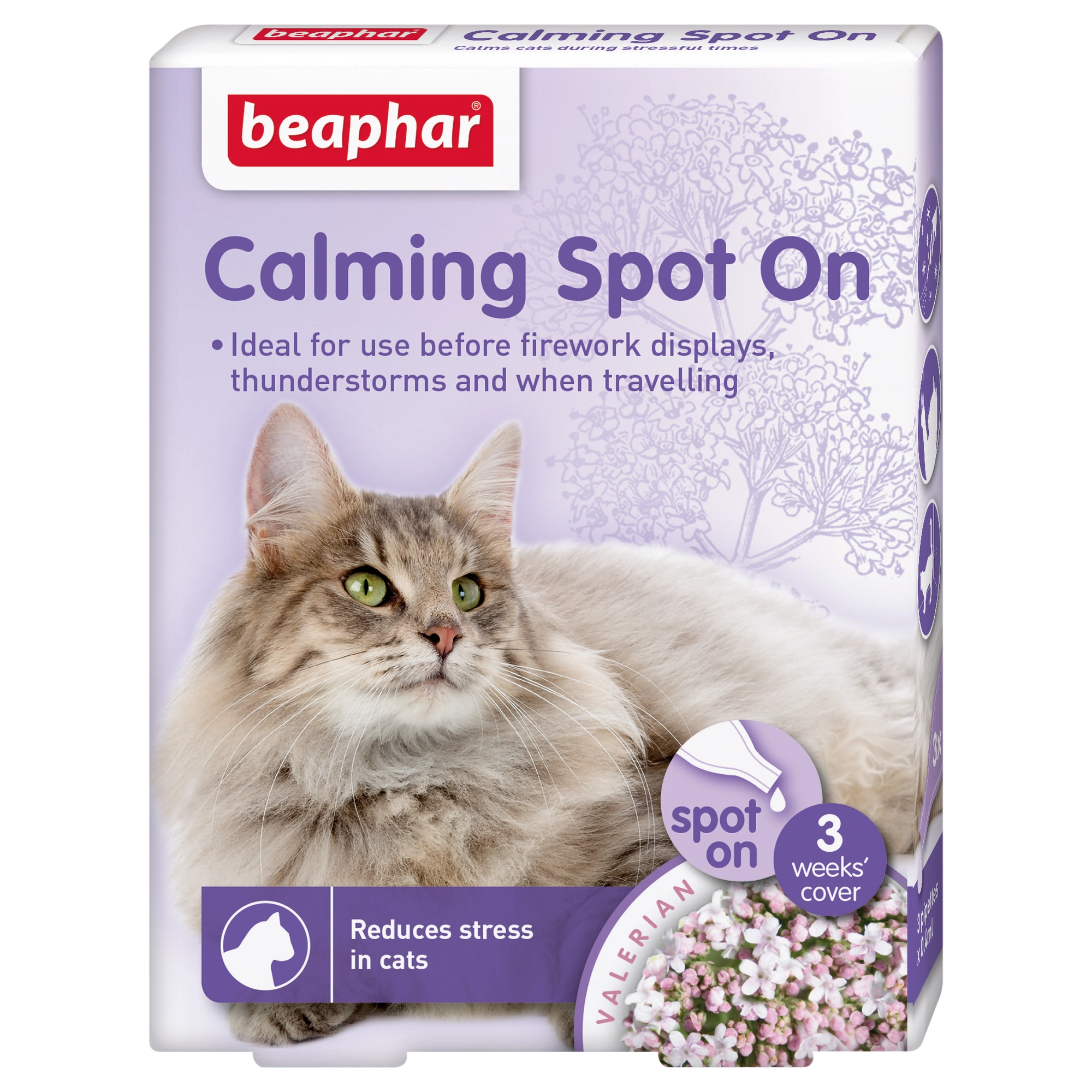 Calming spot On katt