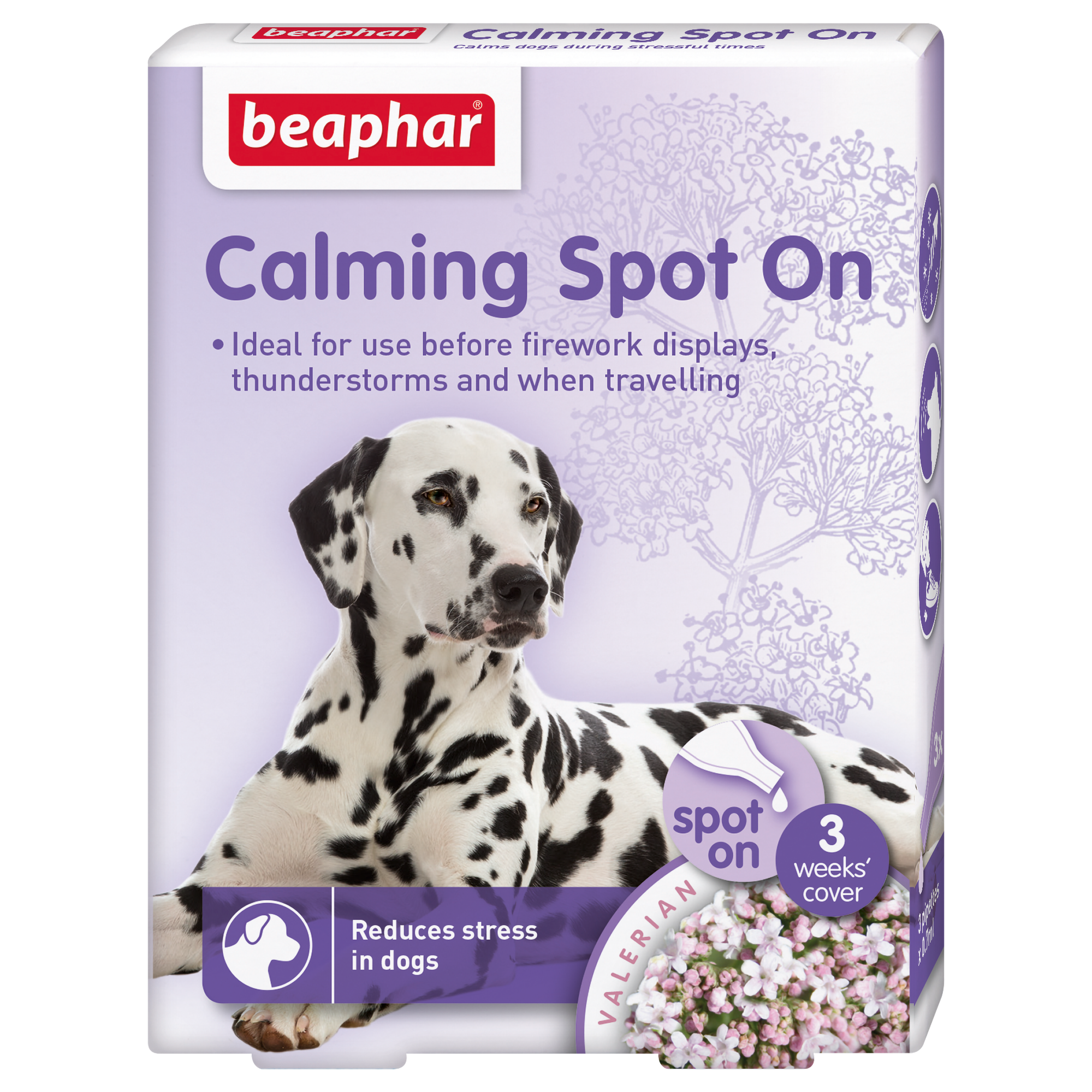 Calming spot On Hund