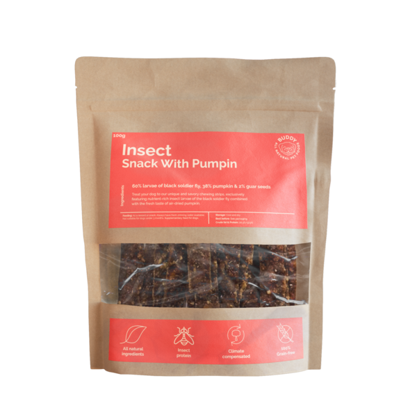 Insect Snack With Pumpkin 100g