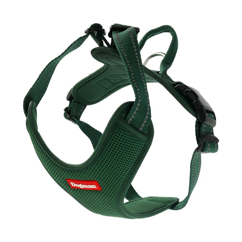 Daily Wear Koiravaljaat Vihreä