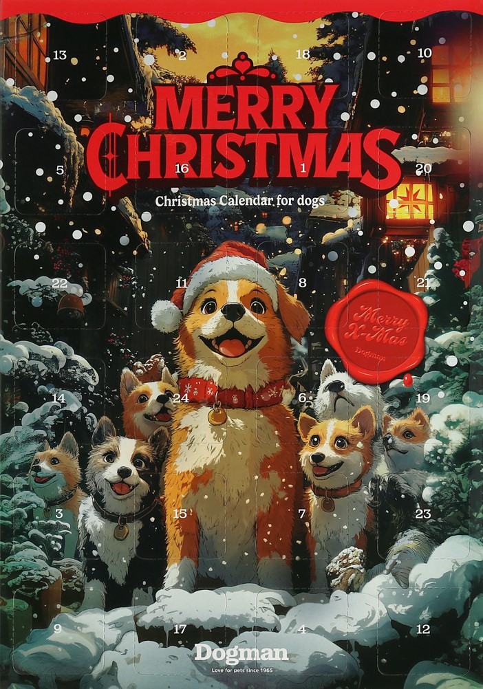 Adventtikalenteri