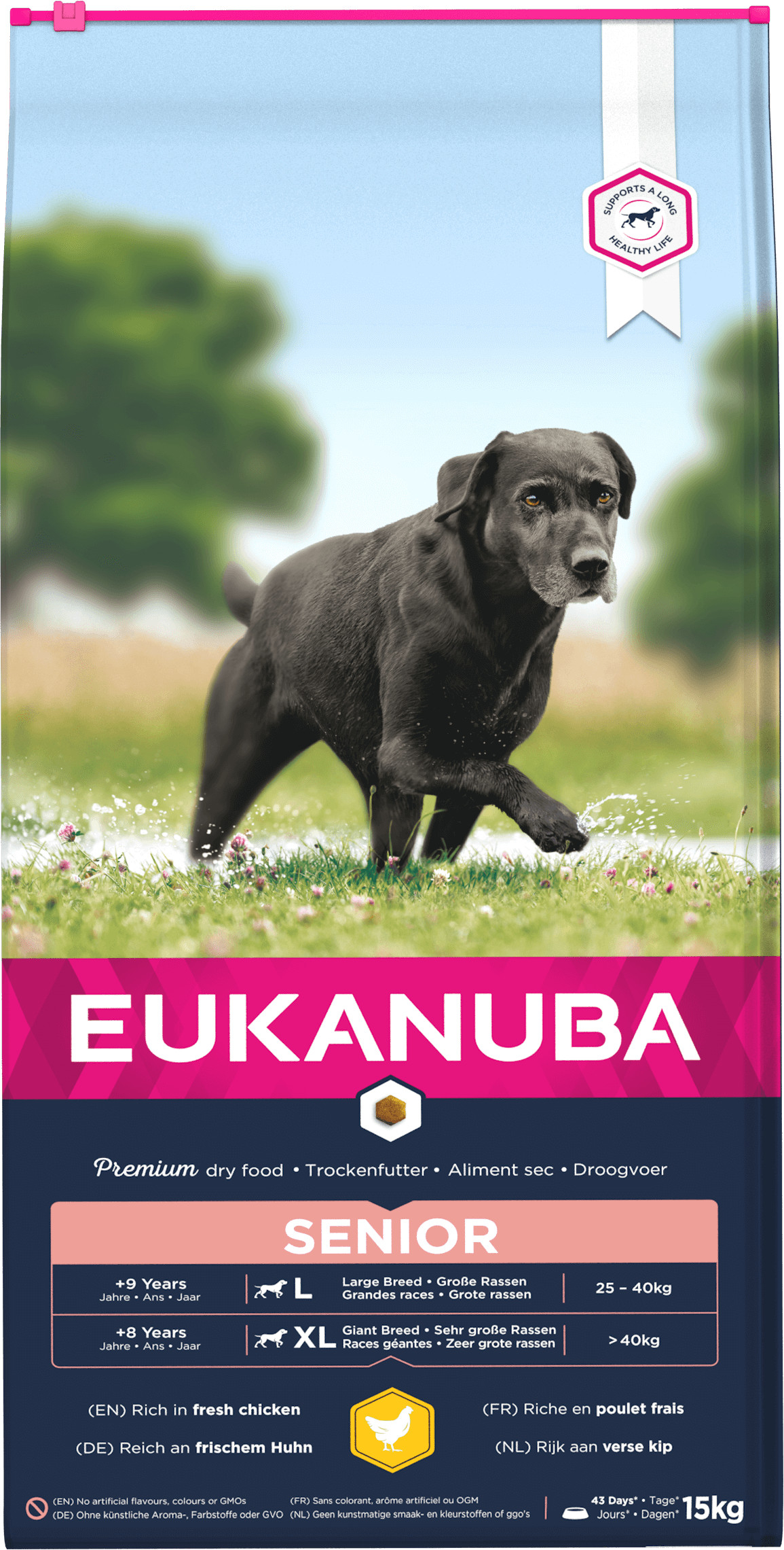 Dog Senior Large Kuivaruoka koiralle 15kg