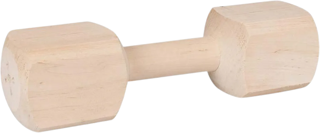 Apporttikapula