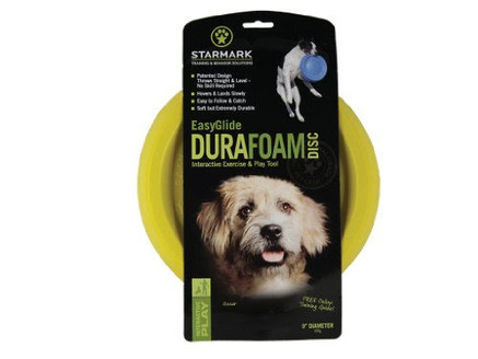 Foam Frisbee