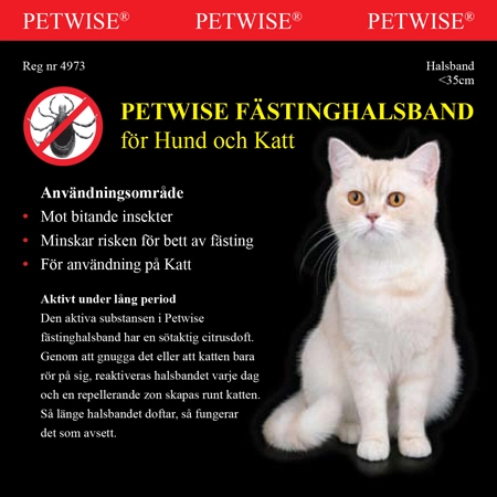Punkkipanta kissa