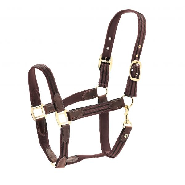 Atlanta Grime Brun X-Full