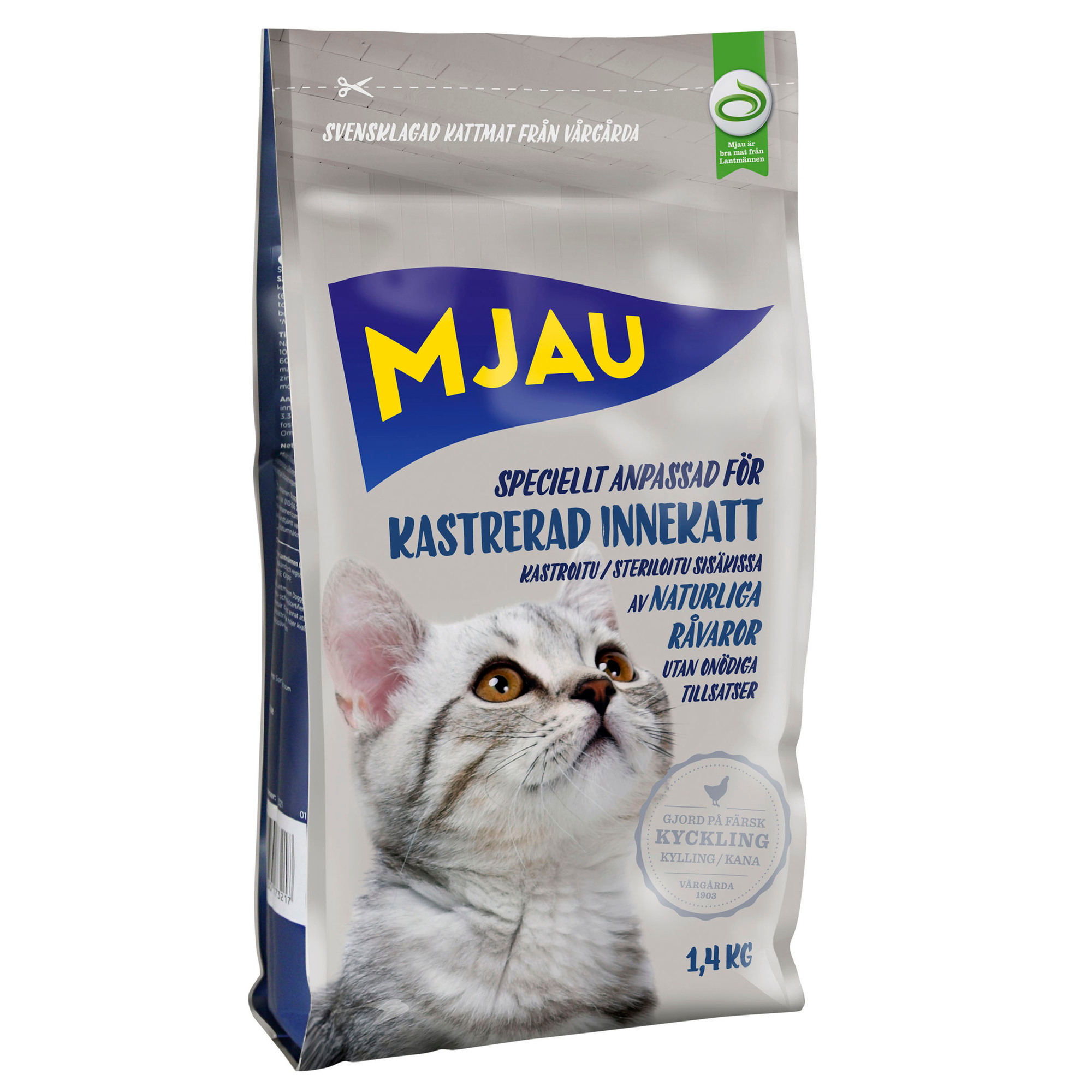 Kastrerad Innekatt