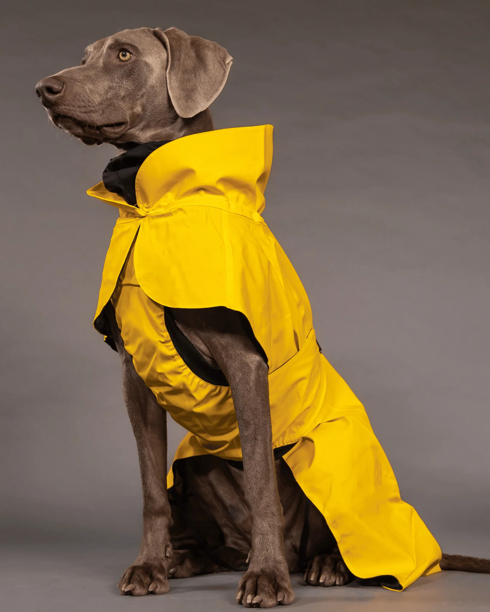 Visibility Raincoat Regndekken Gul 20cm