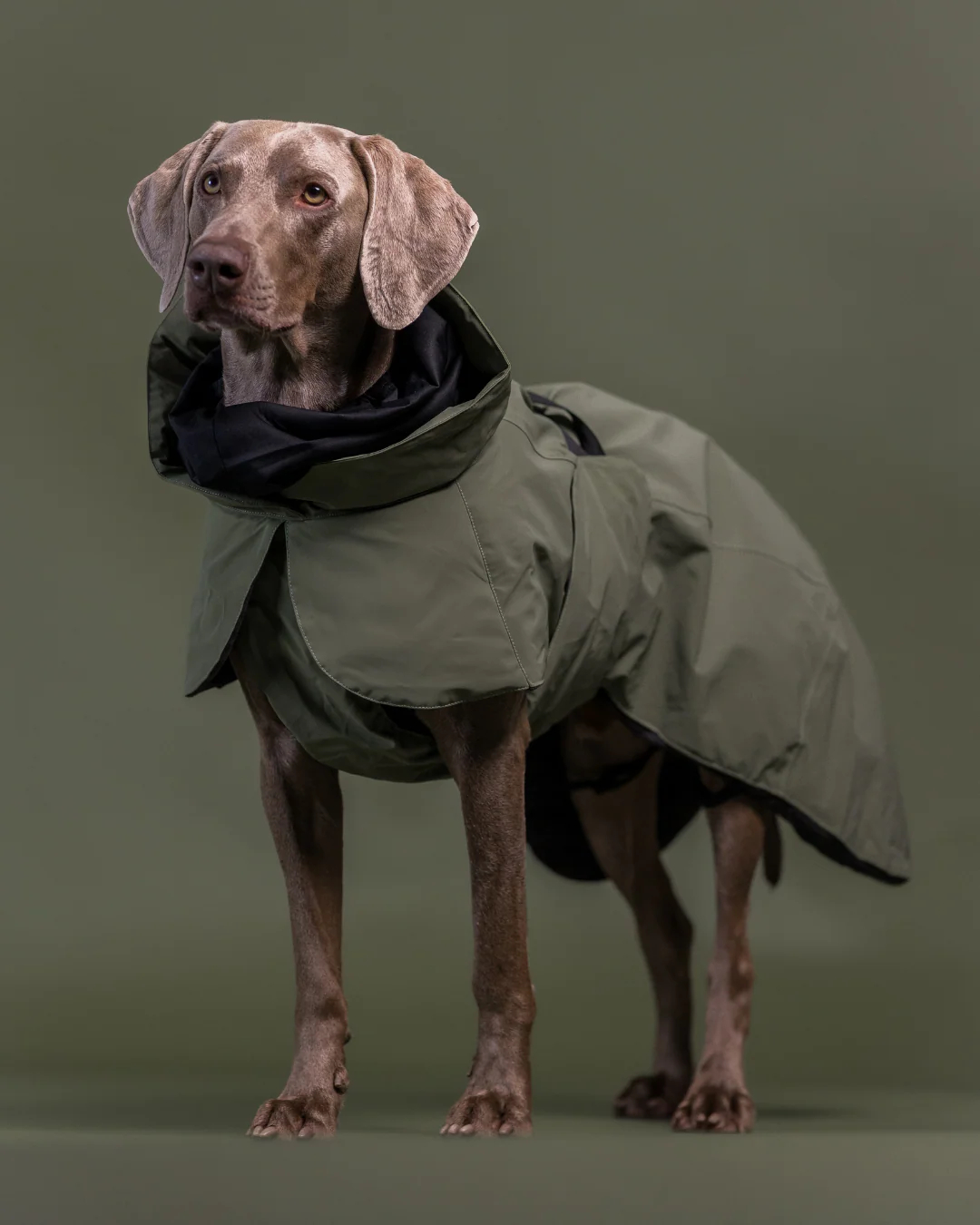 Visibility Winter Jacket Vinterjakke Grønn 20cm