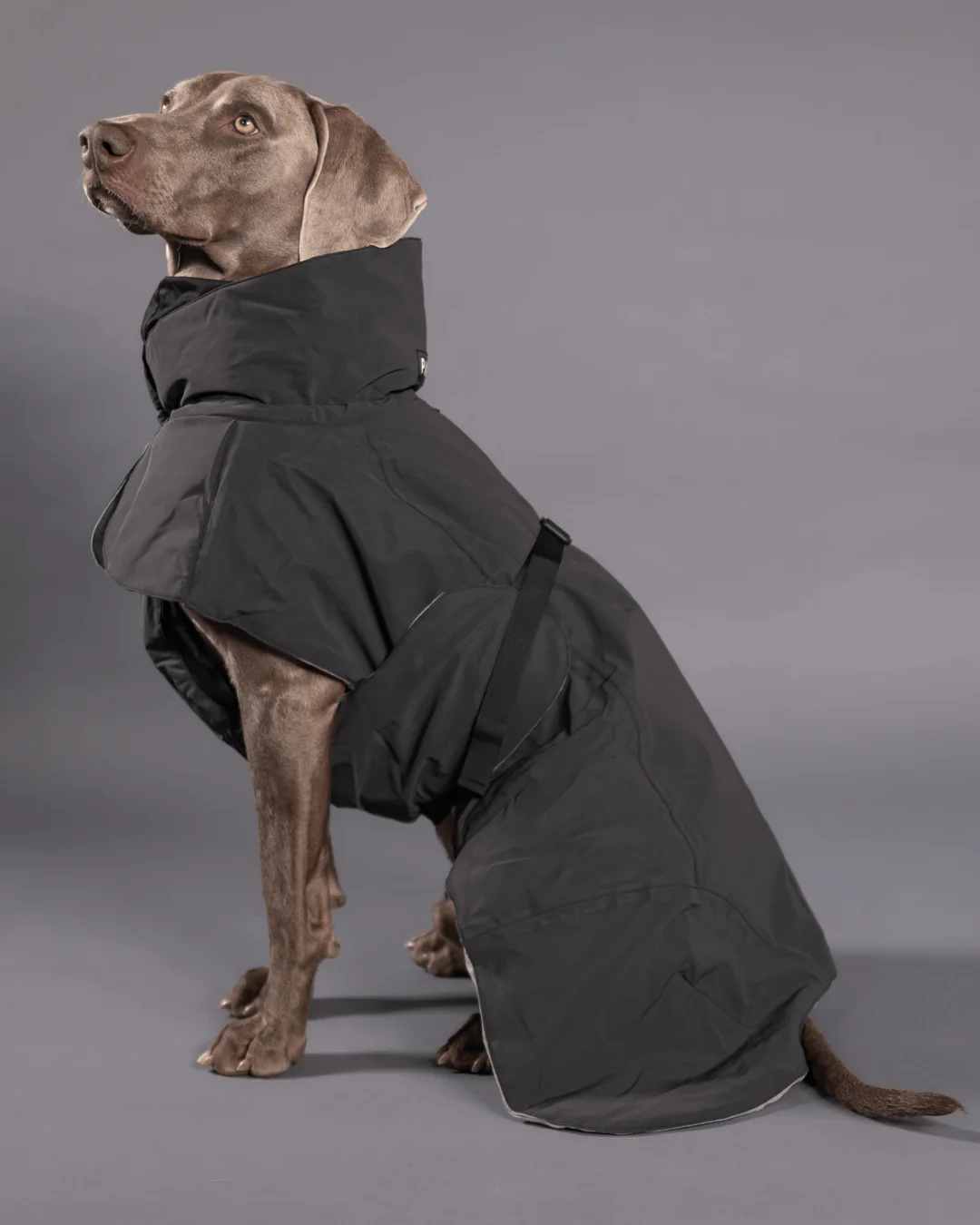Visibility Winter Jacket Talvitakki Musta 20cm