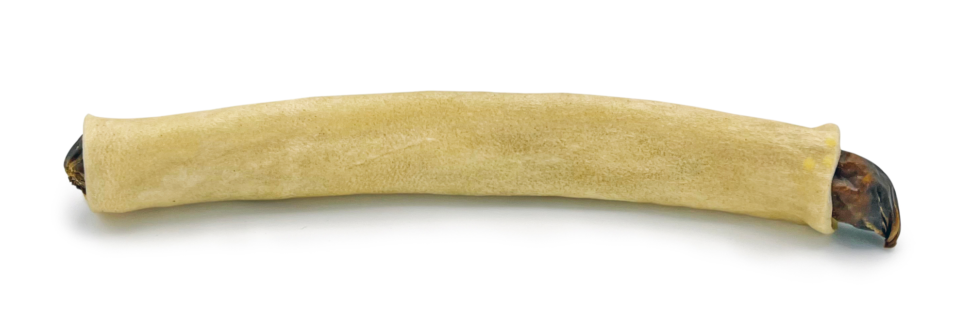 Moose Bullet 19cm