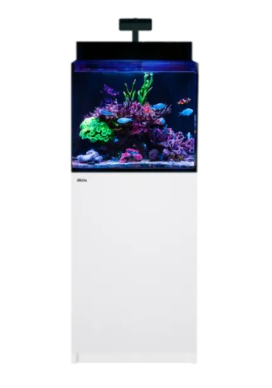 Max Nano XL G2
