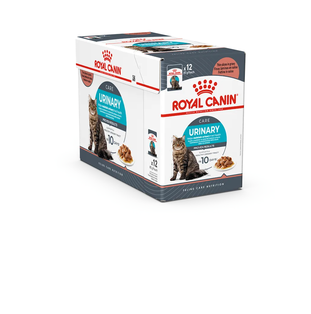 Urinary Care Care Gravy 12x85g
