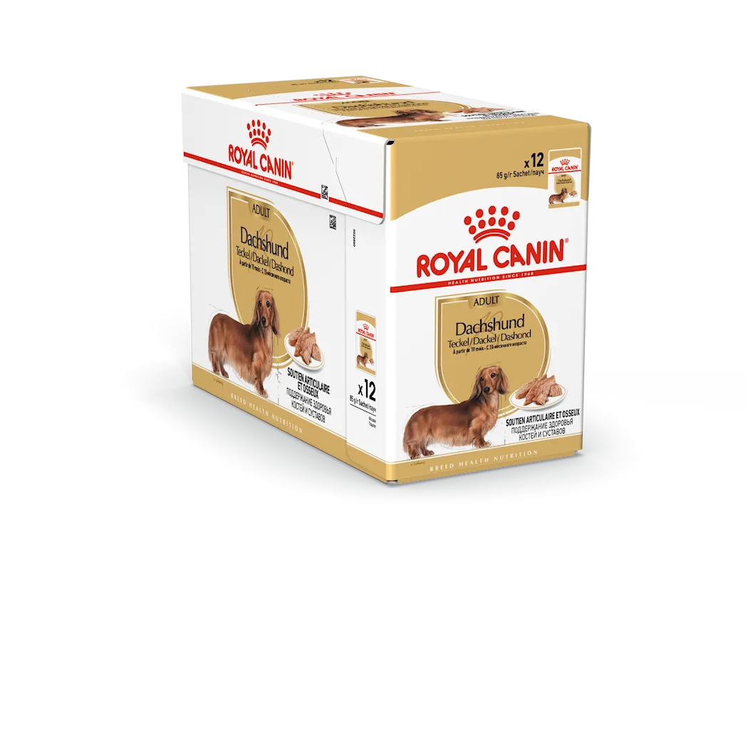 Dachshund Adult Loaf 12x85g