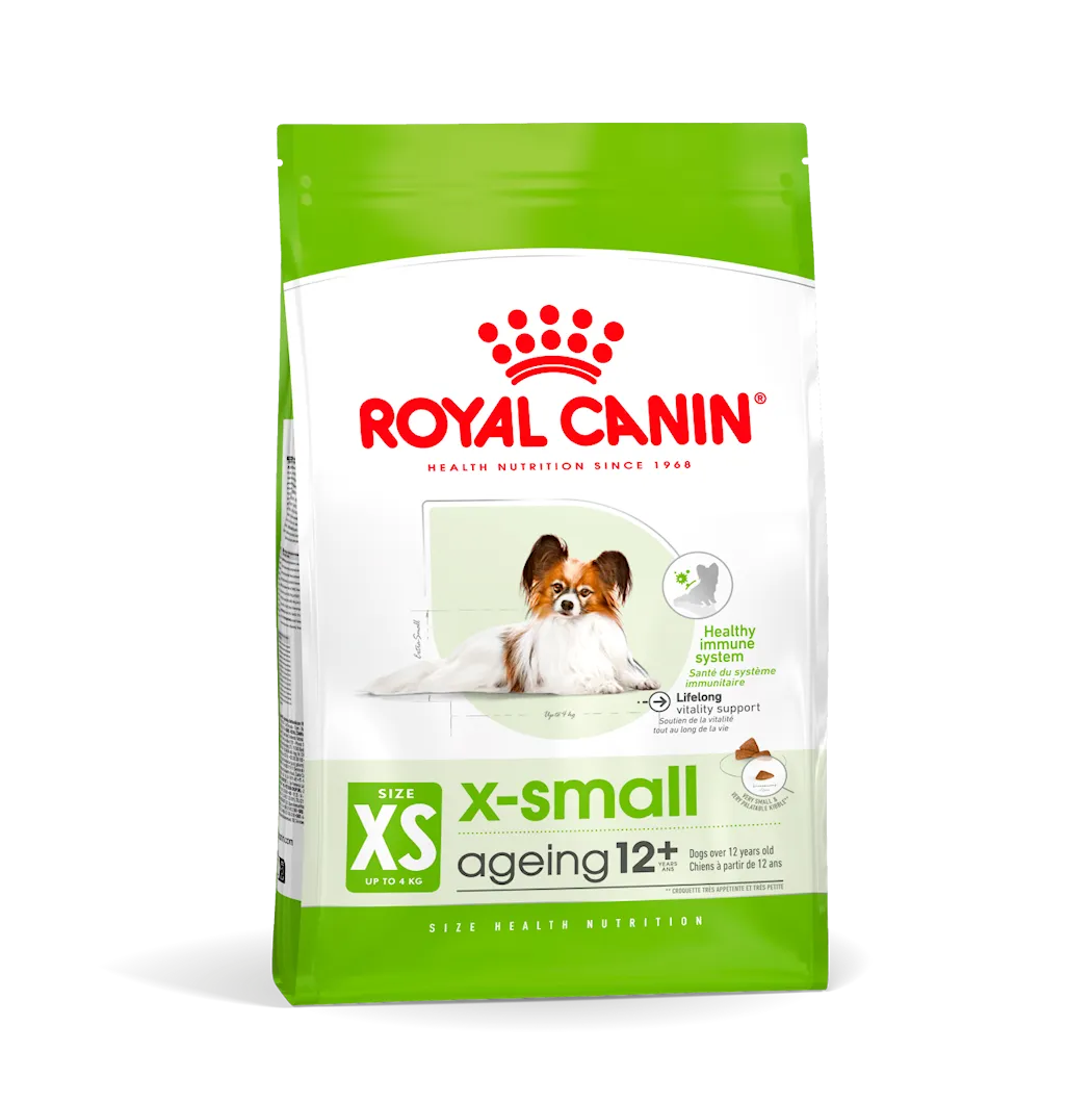 X-Small Ageing 12+ hundemat
