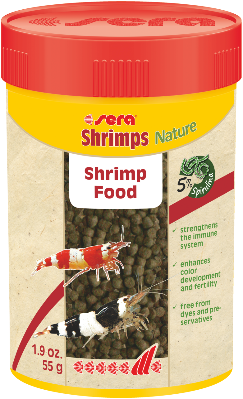 Shrimps Nature