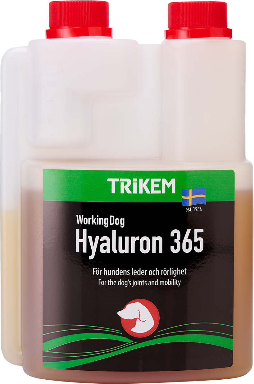 WorkingDog Hyaluron 365 Ledtillskott