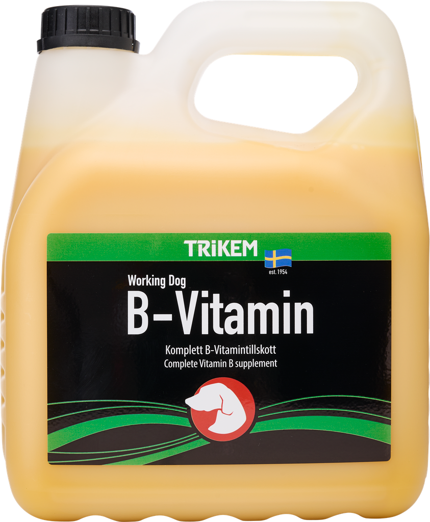 Working Dog B-Vitamin 3L