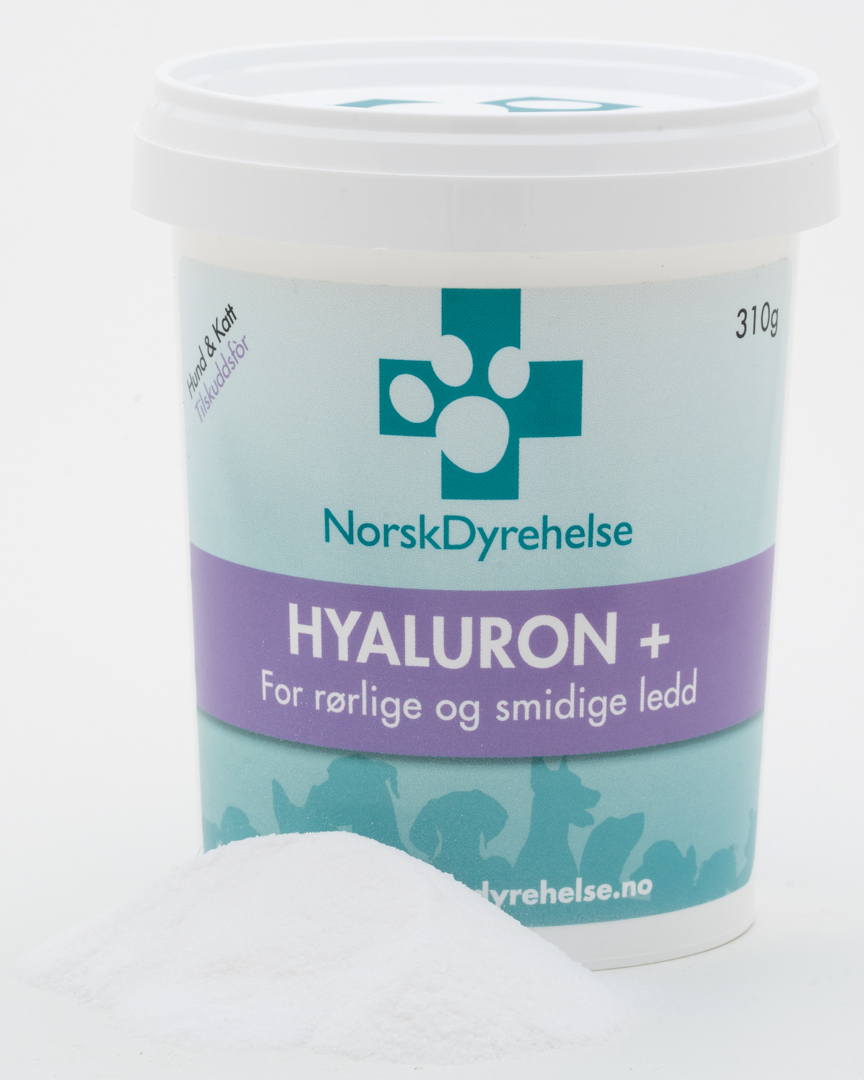 Hyaluron 310g