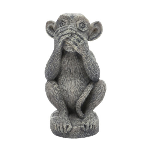 Don't Speak akvaariokoriste