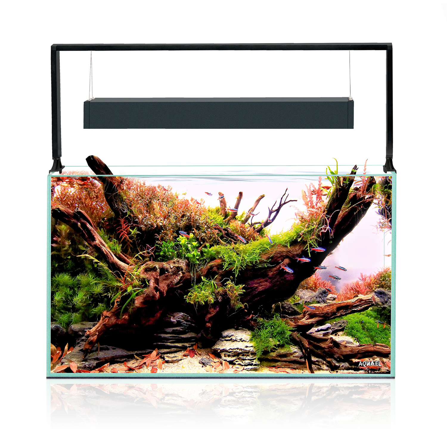 Ultrascape 60 Forest