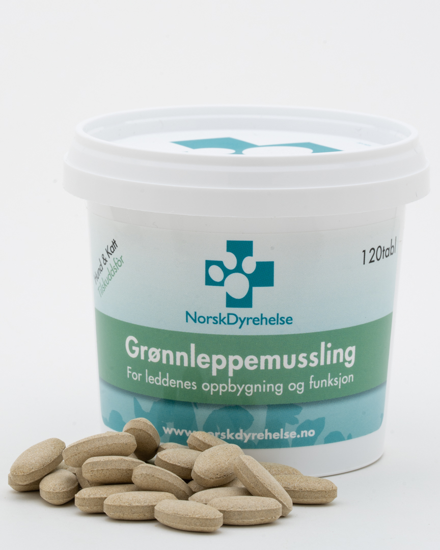 Grønnleppemussling