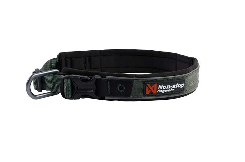 Roam Dog Collar