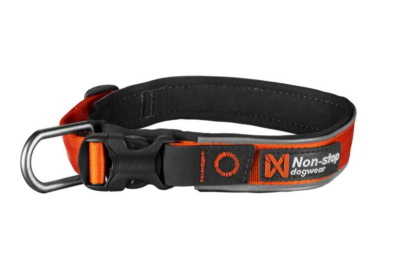 Roam Dog Collar