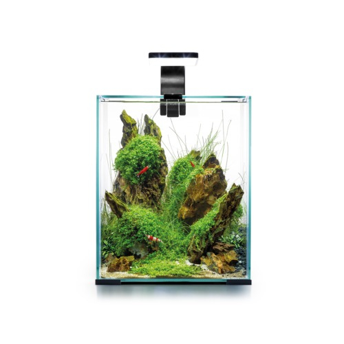 Day&Night Shrimp Set Aquarium