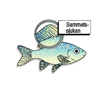 Ular porno filmlarni tarqatishmoqda Rus mushukni yirtish