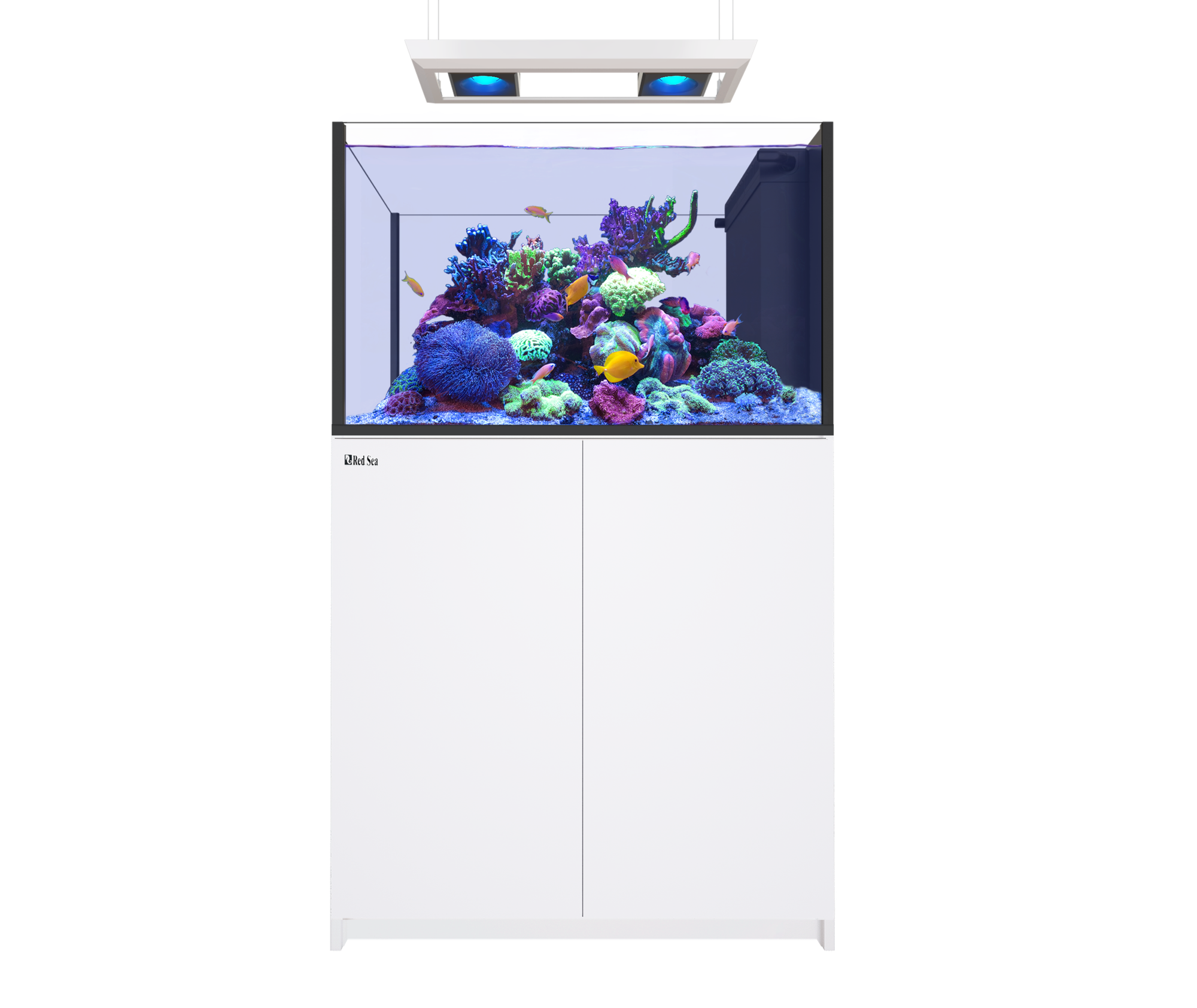 Peninsula G2+ Deluxe Akvarium Set