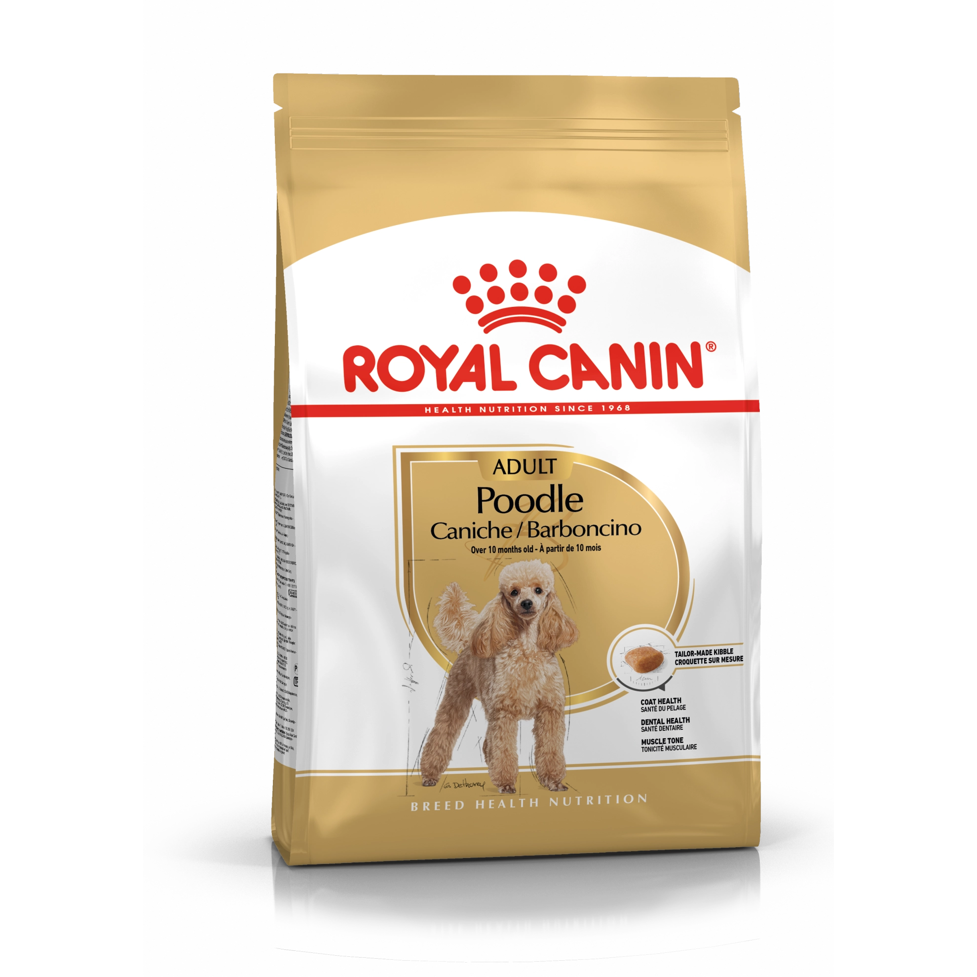 Poodle Adult Hundefôr