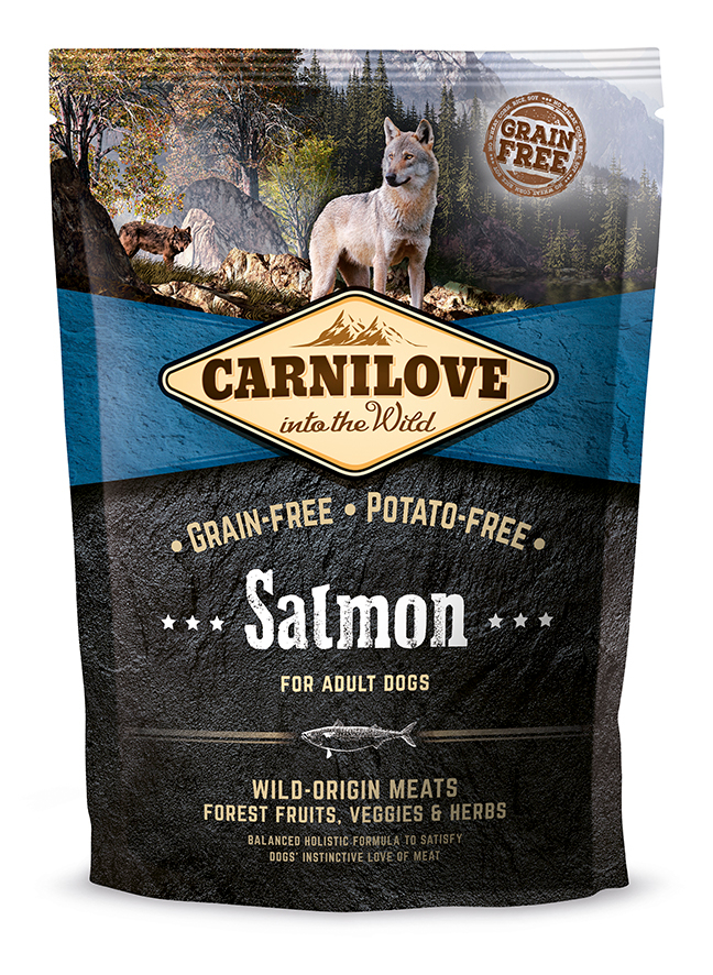 Salmon