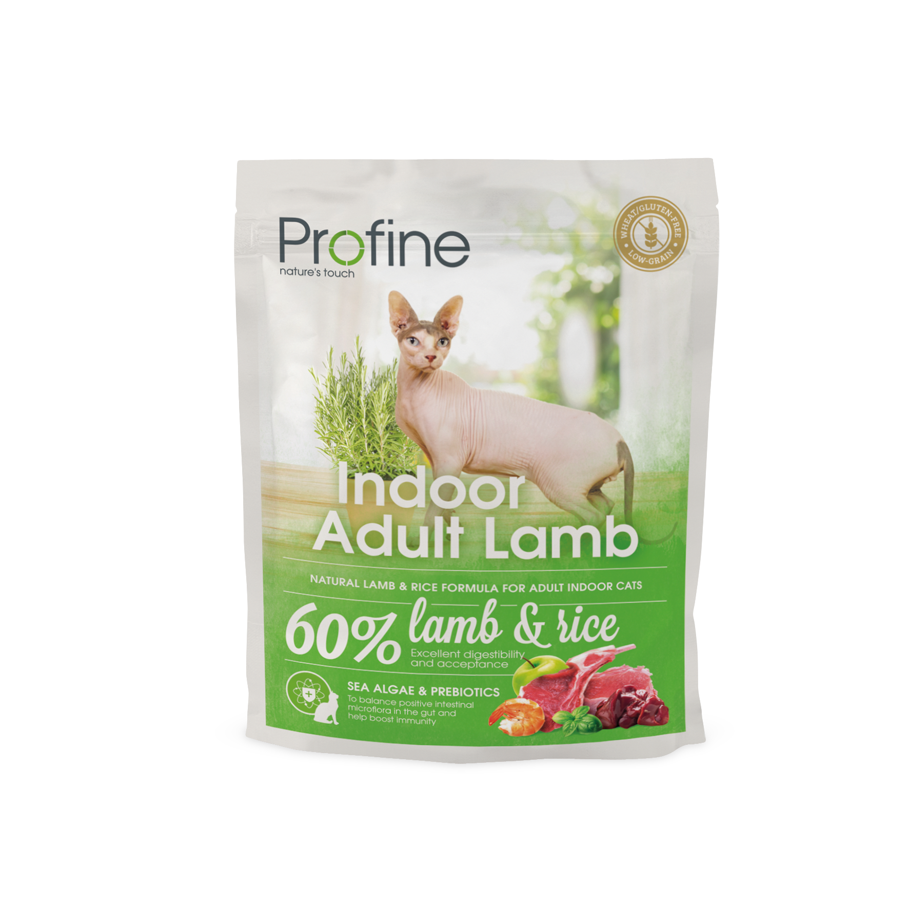 Indoor Adult Lamb