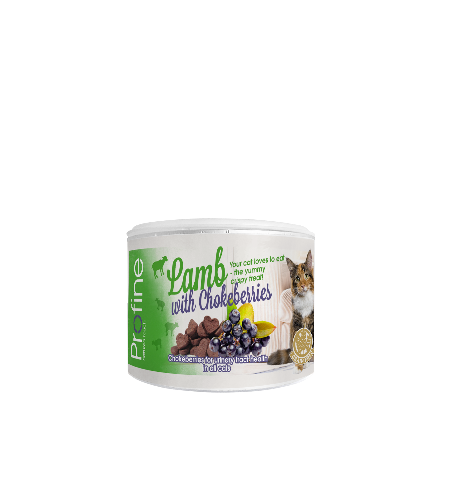 Crunchy Snack