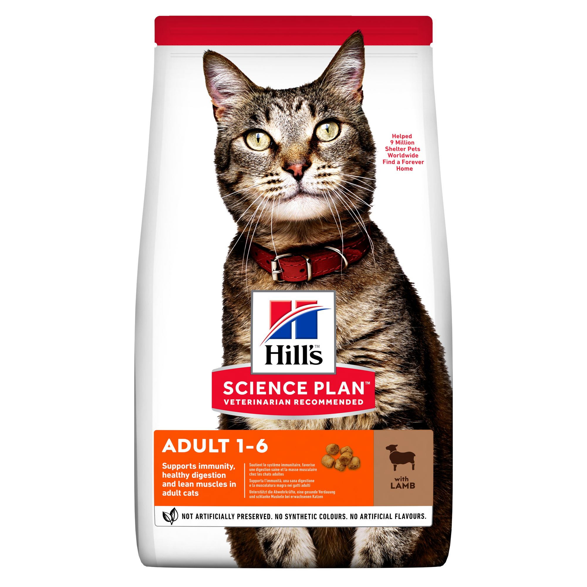SP Feline Adult Lamb & Rice