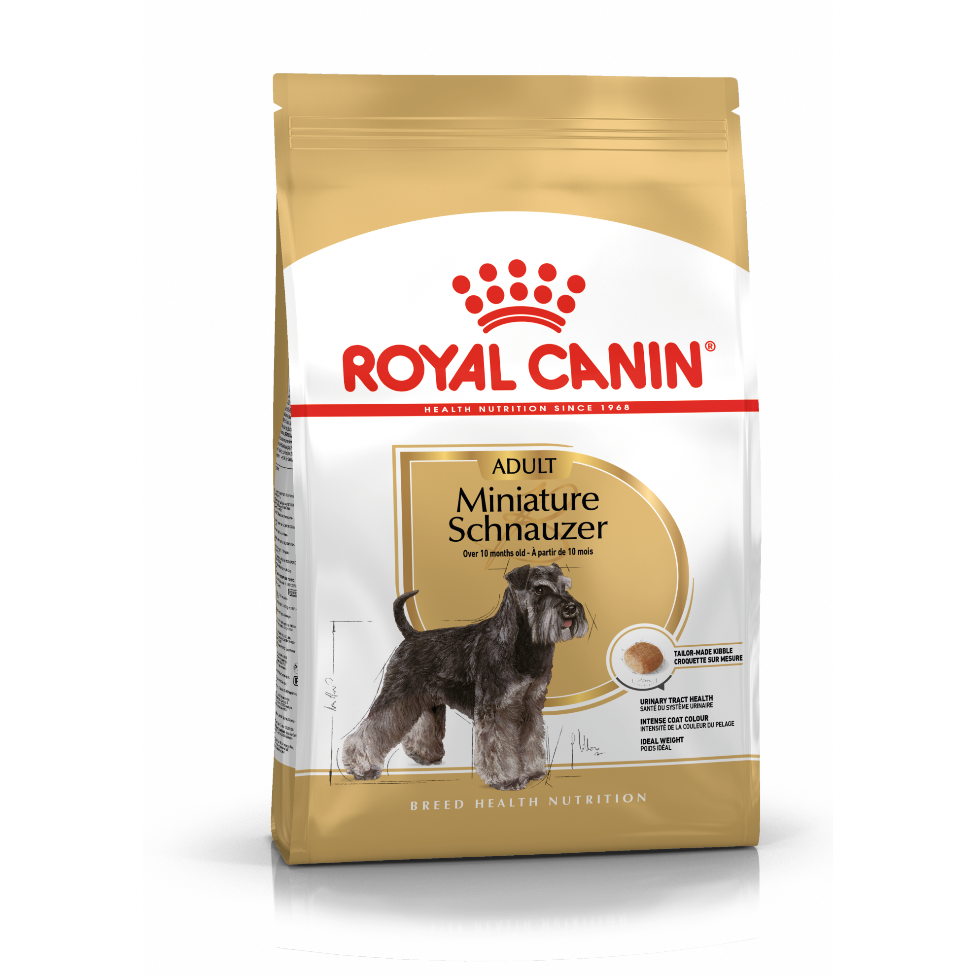 Miniature Schnauzer Adult Hundefôr