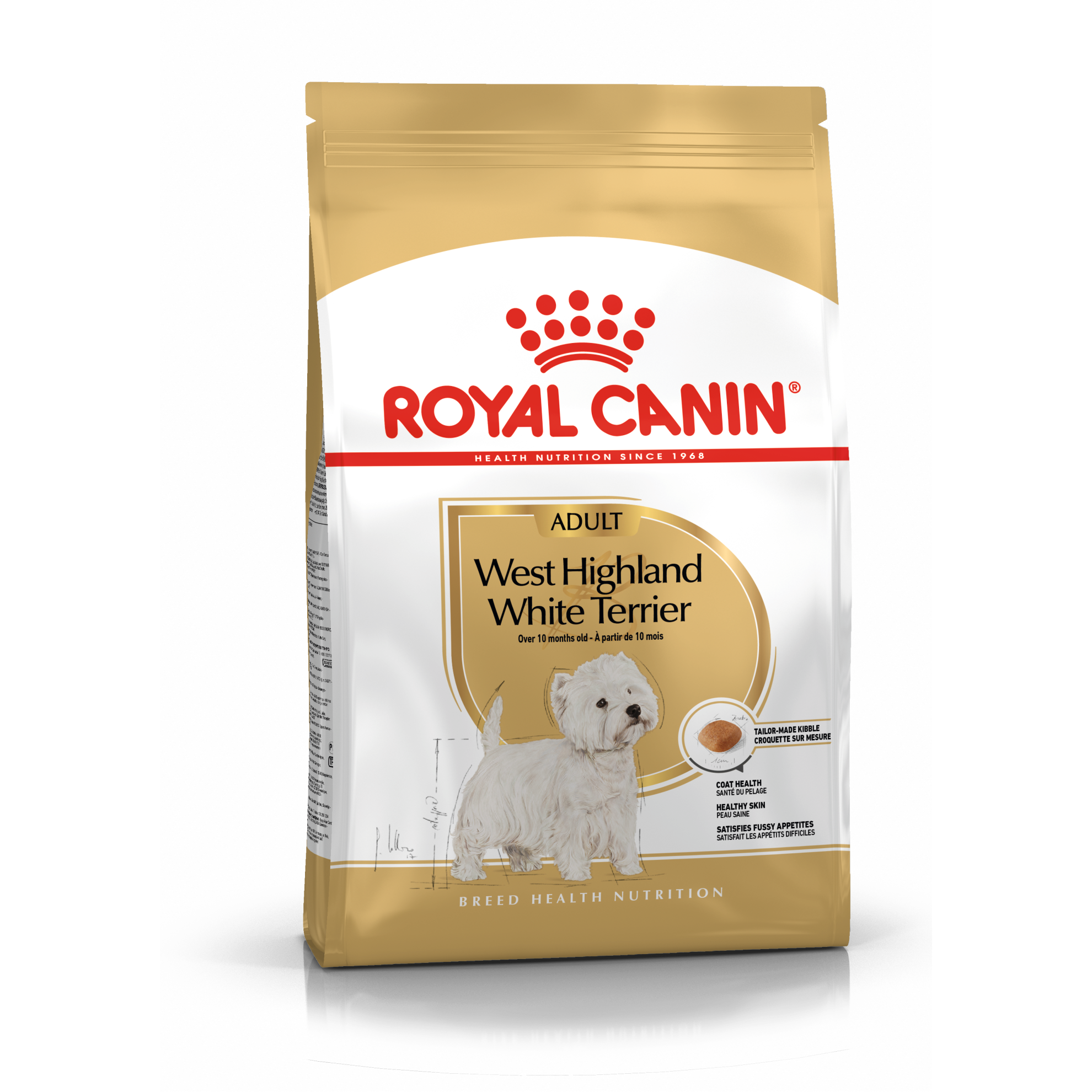 West Highland White Terrier Adult Hundefôr
