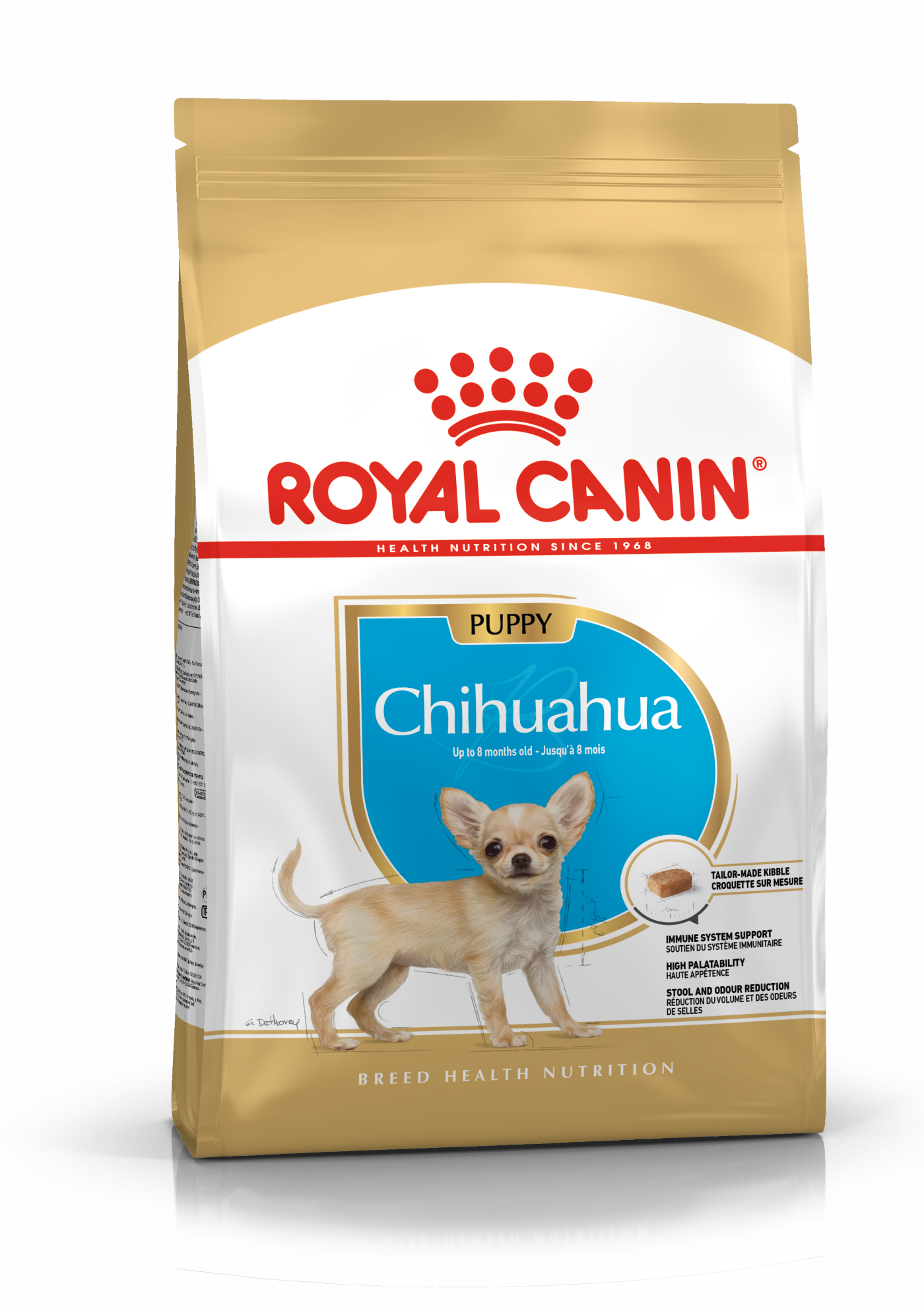 RC Chihuahua Puppy 1,5kg