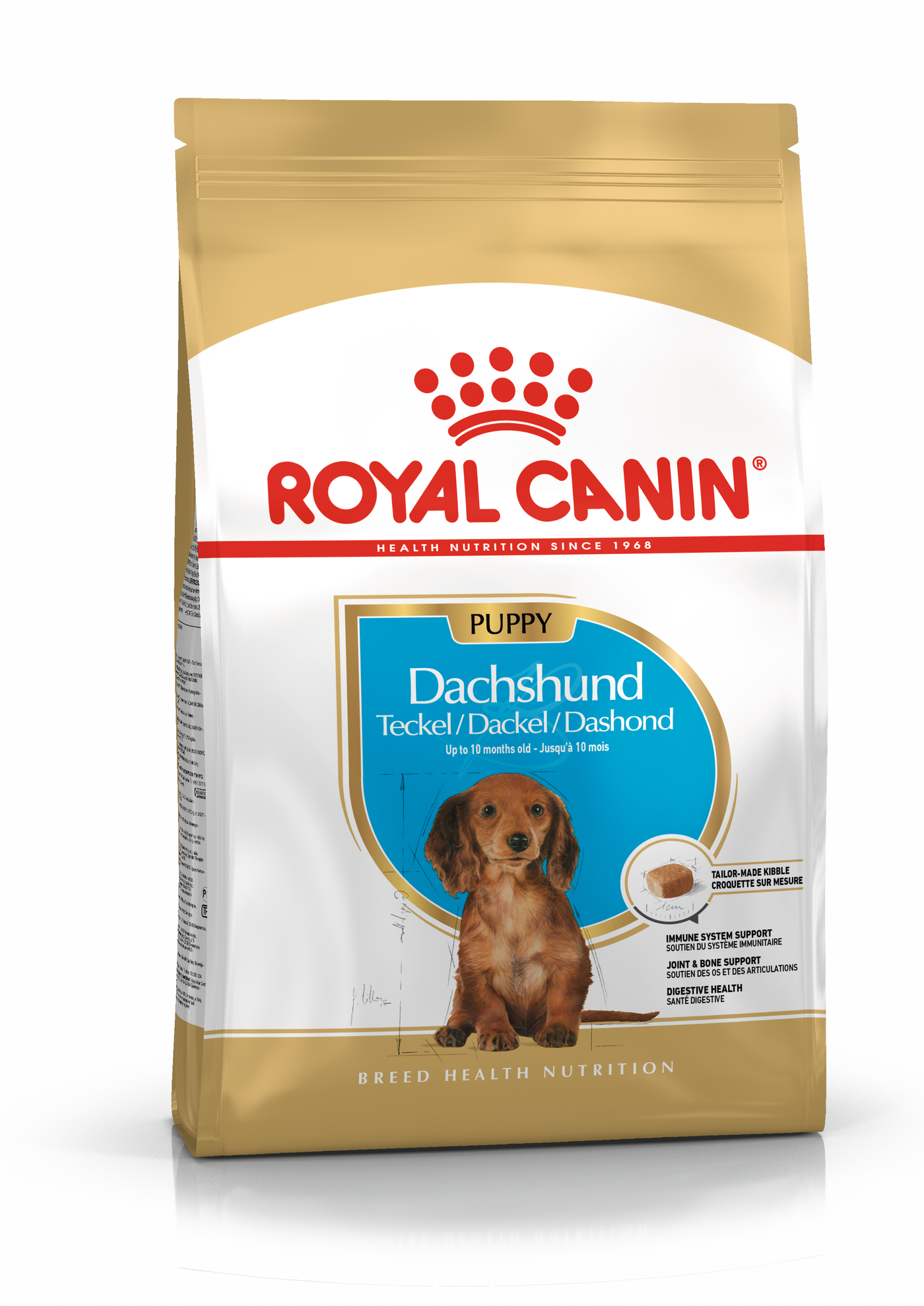 RC Dachshund Puppy 1,5kg