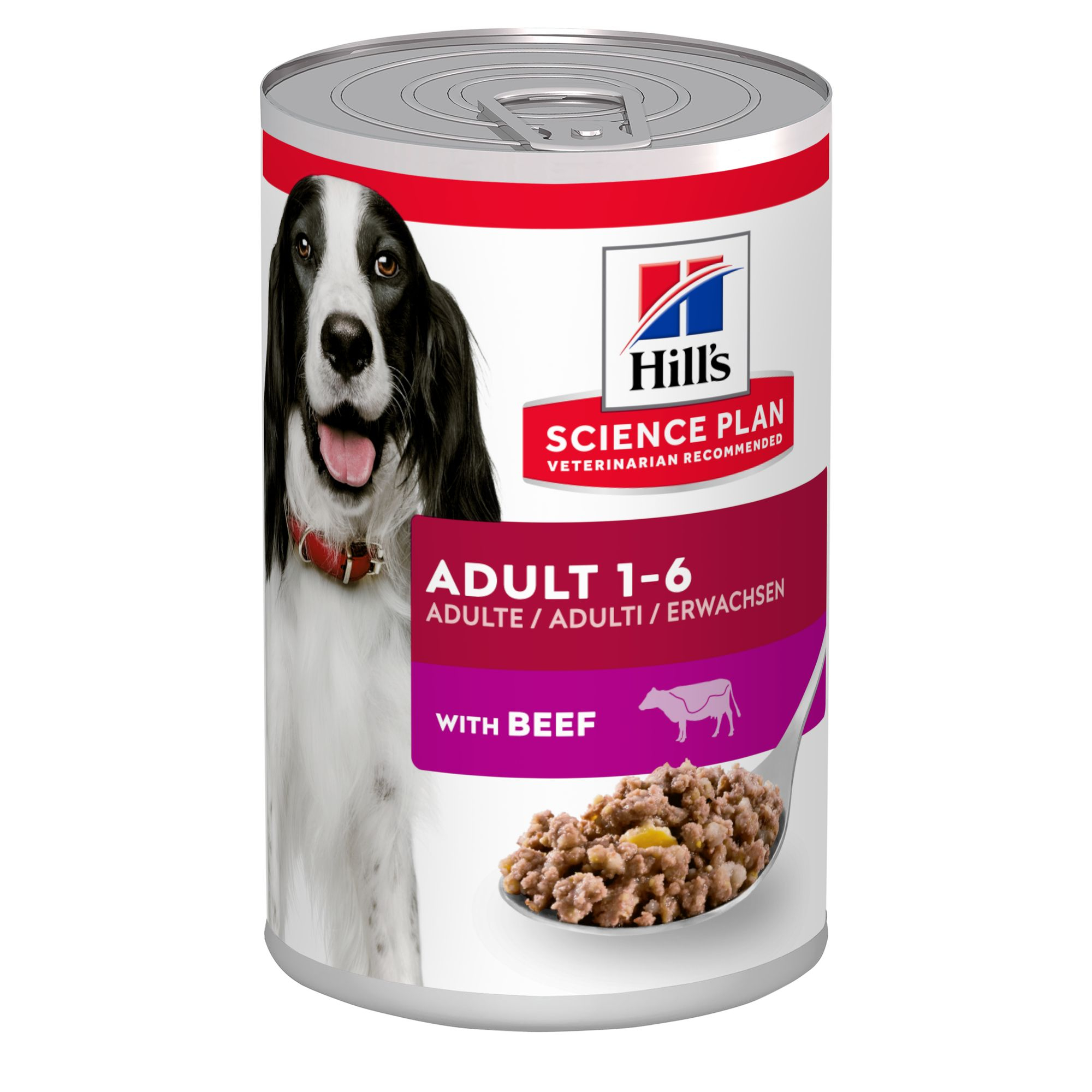 SP Canine Adult Beef