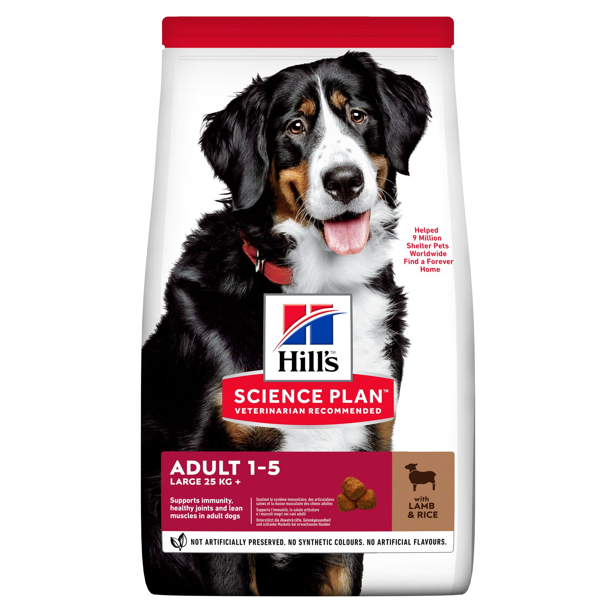 SP Canine Adult LB Lamb&Rice