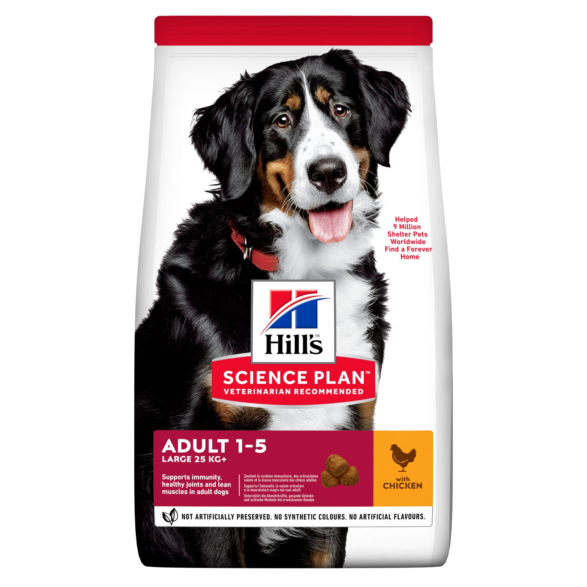 SP Canine Adult LB Chicken
