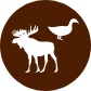 product icon
