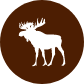 product icon