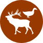 product icon